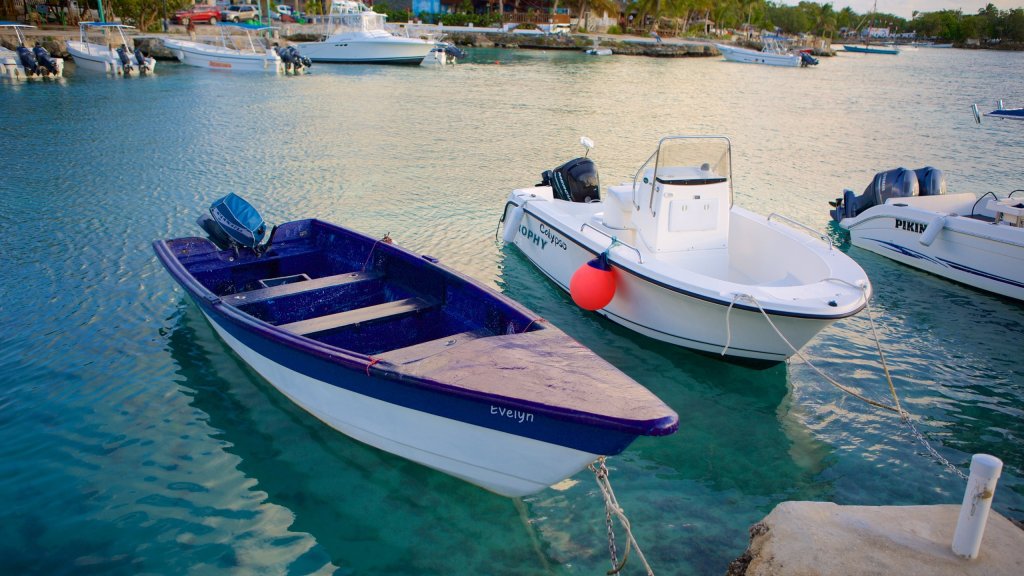 Bayahibe Boats