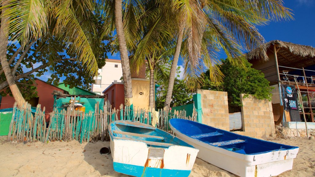 Bayahibe Boats