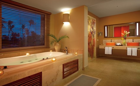 Master Suite Bathroom