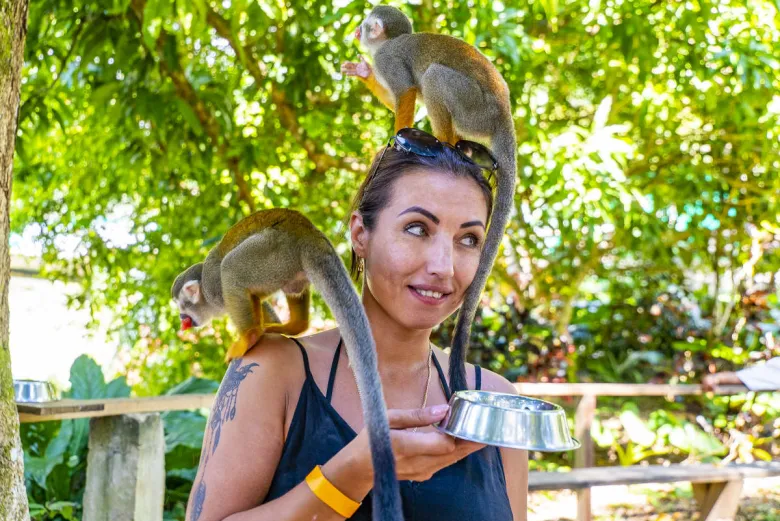 Fedding squirrel monkeys