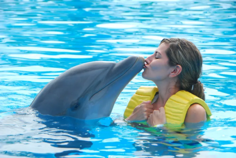 Dolphin Kiss