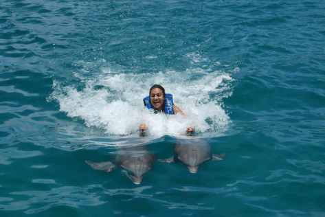 Dolphin Dorsal ride