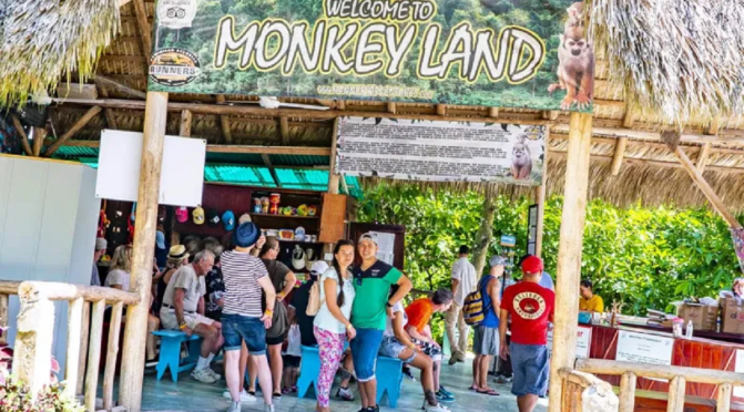 Monkeyland Entrance