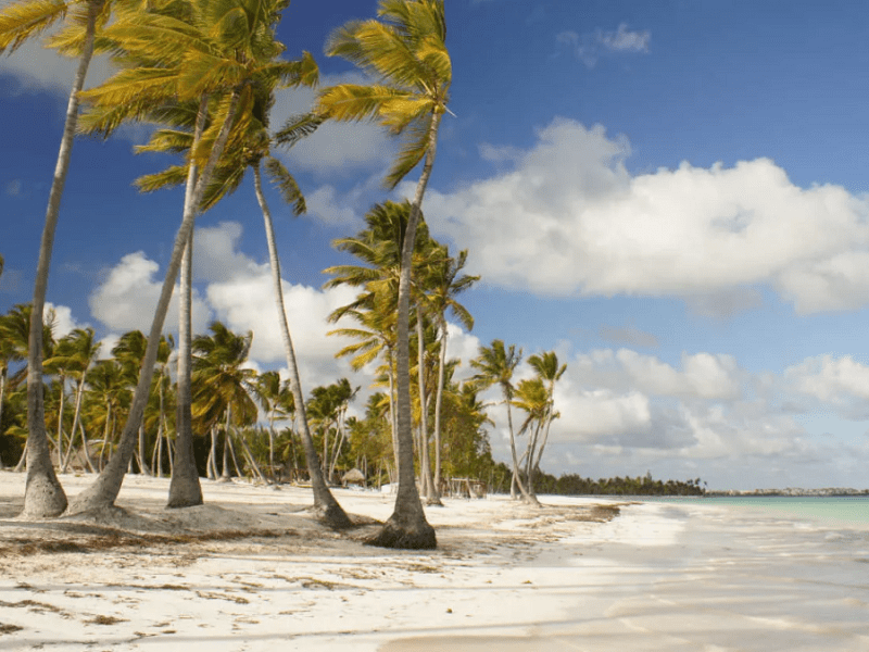 Juanillo Beach Day Trip